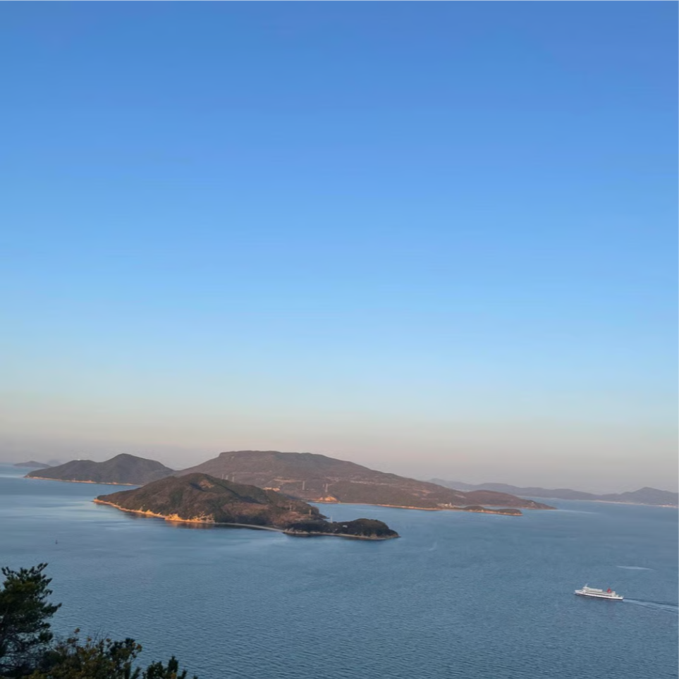 島ロゼ～トワイライト　２０２４